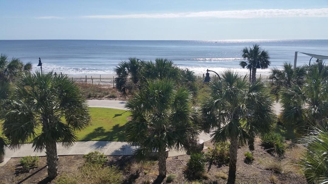 Photo of Others in Downtown Myrtle Beach