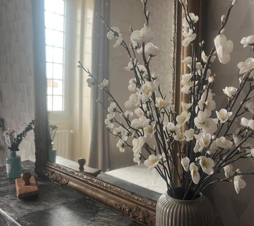 Photo of Others in Jonzac