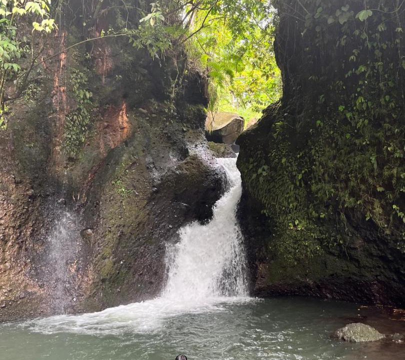 Photo of Others in Tetebatu