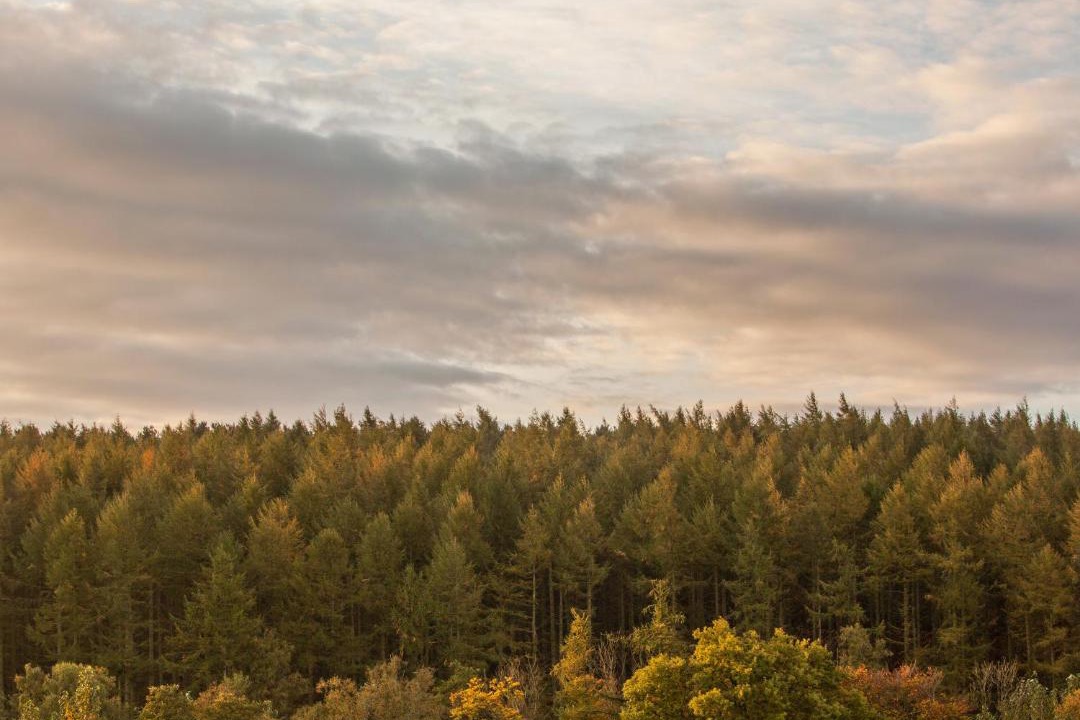 Photo of Others in Consett