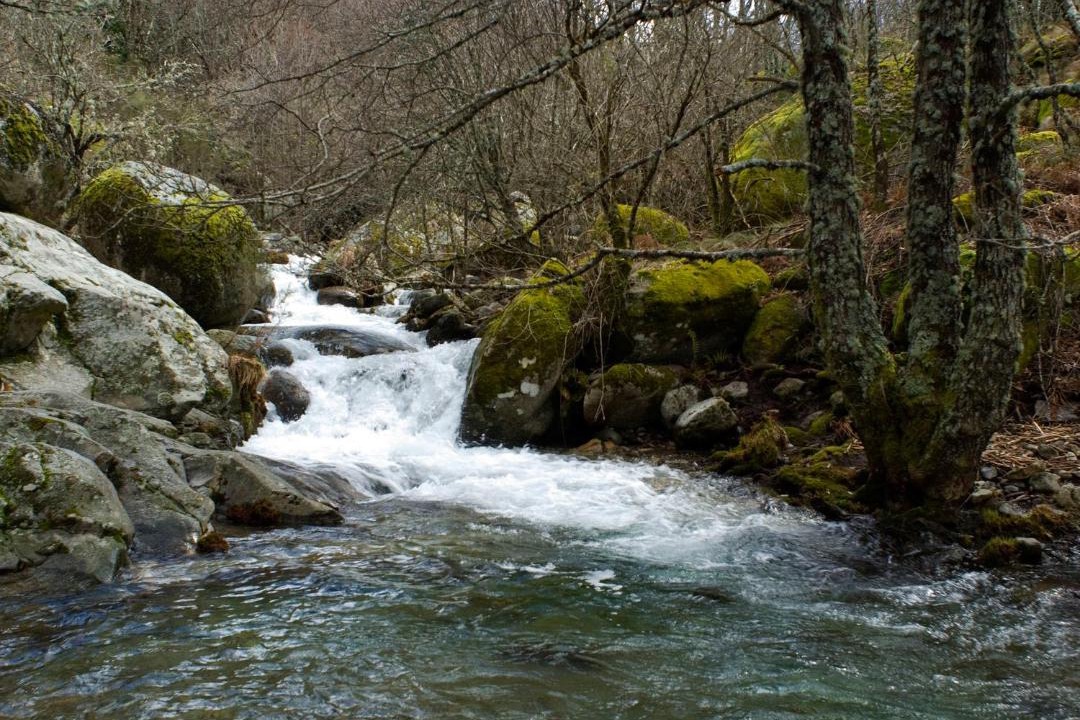 Photo of Others in Hervas