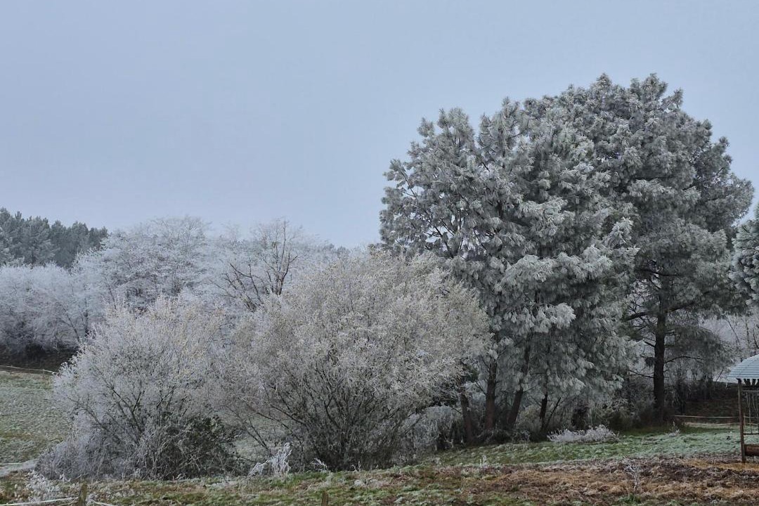 Photo of Others in Boresse-et-Martron