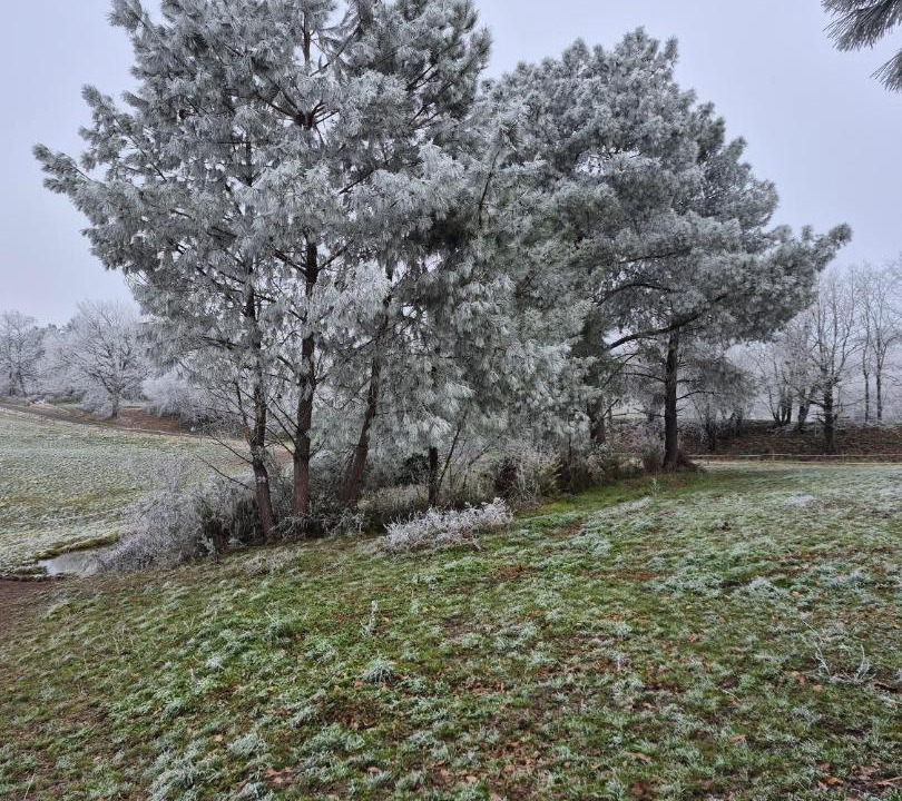 Photo of Others in Boresse-et-Martron