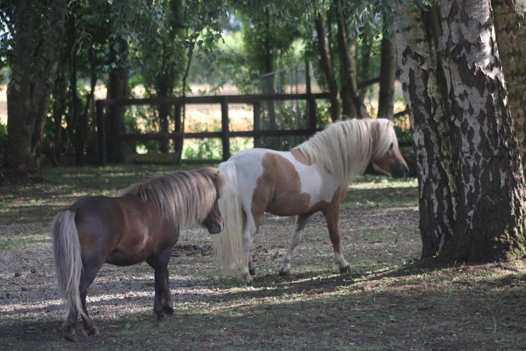 Photo of Others in Aunou-sur-Orne