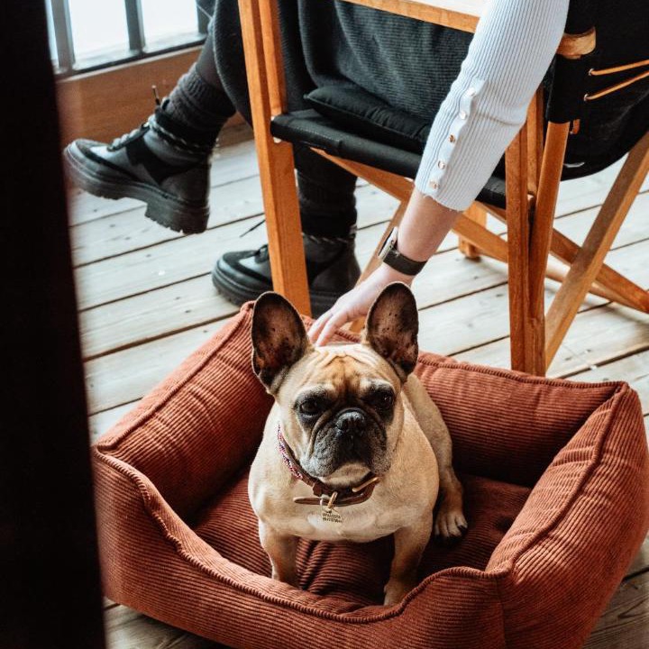 Photo of Others in Val-d'Isere