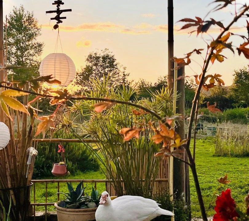 Photo of Others in Saint-Nicolas-de-la-Grave