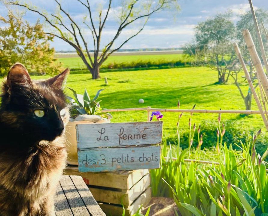 Photo of Others in Saint-Nicolas-de-la-Grave