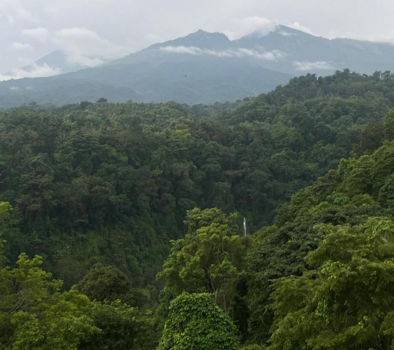 Photo of Others in Bayan