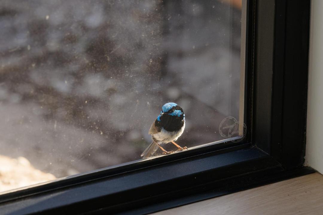 Photo of Others in Island Beach