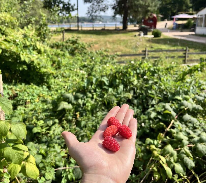 Photo of Others in Les Settons