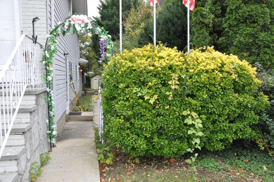 Photo of Others in Locust Valley