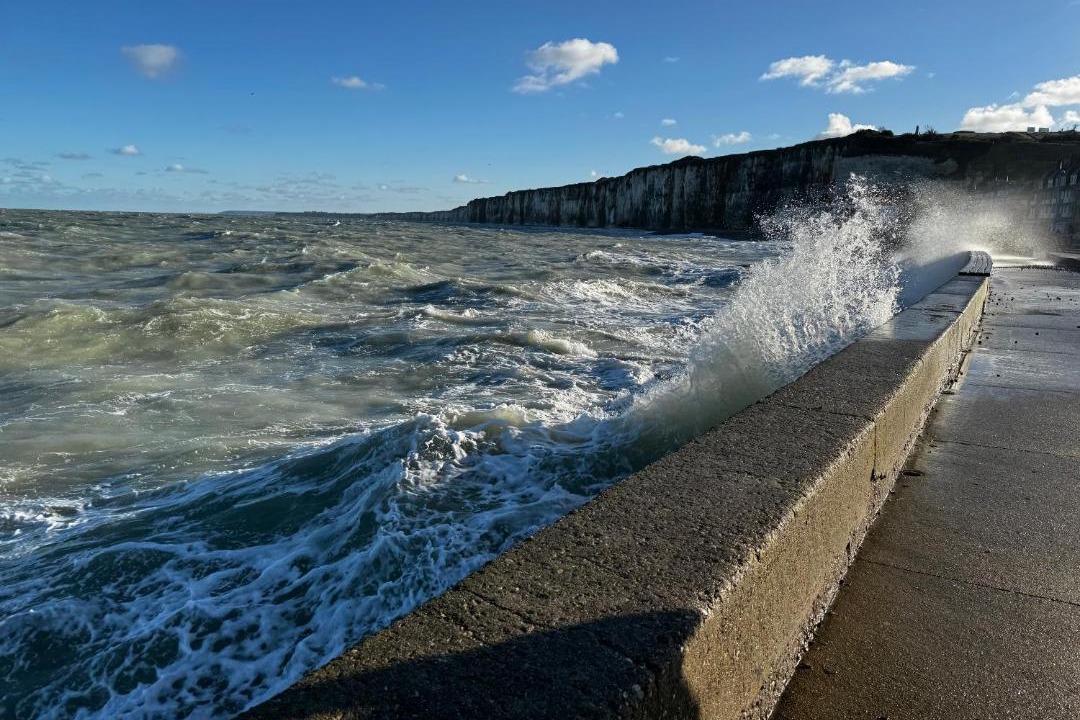Photo of Others in Grainville-la-Teinturiere
