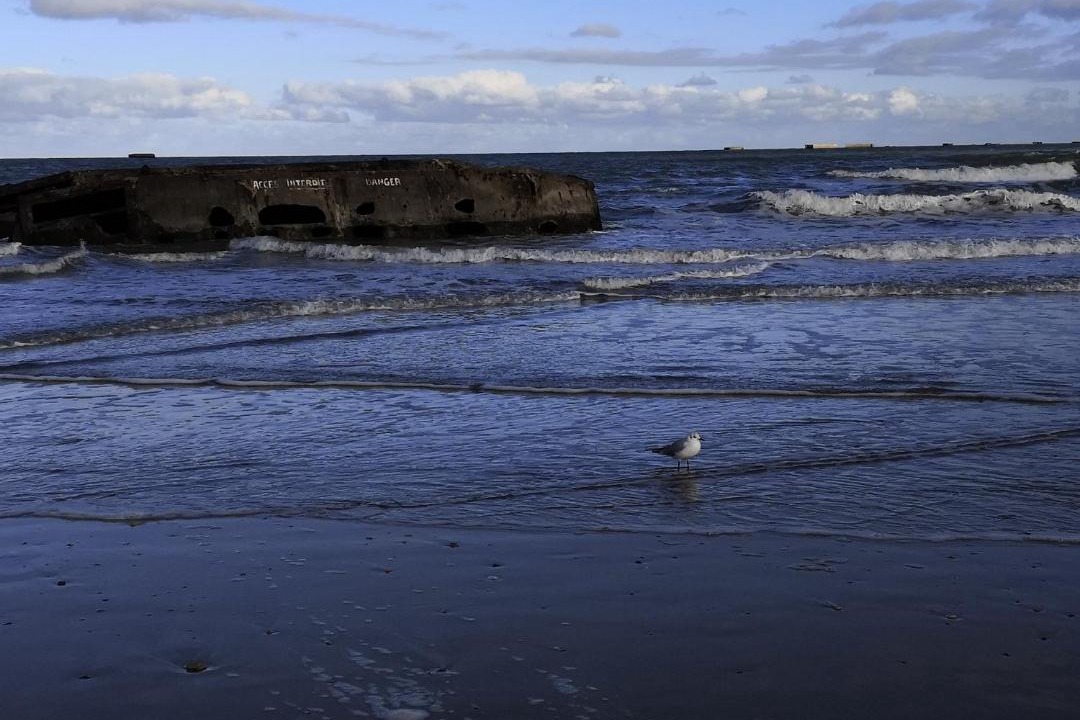 Photo of Others in Longues-sur-Mer