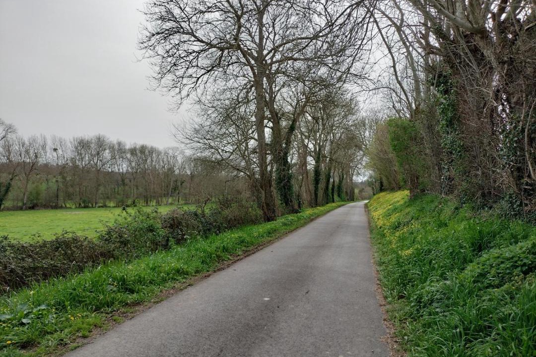 Photo of Others in Longues-sur-Mer