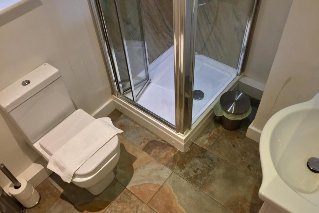 Photo of Others in New Forest District