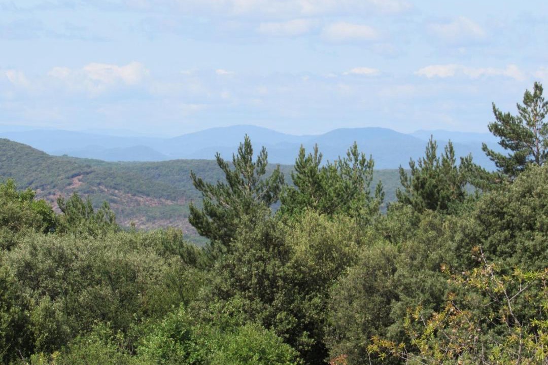Photo of Others in Issirac