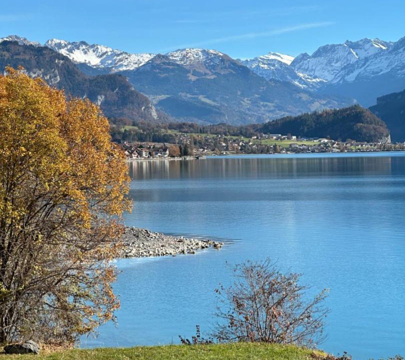 Photo of Others in Brienz