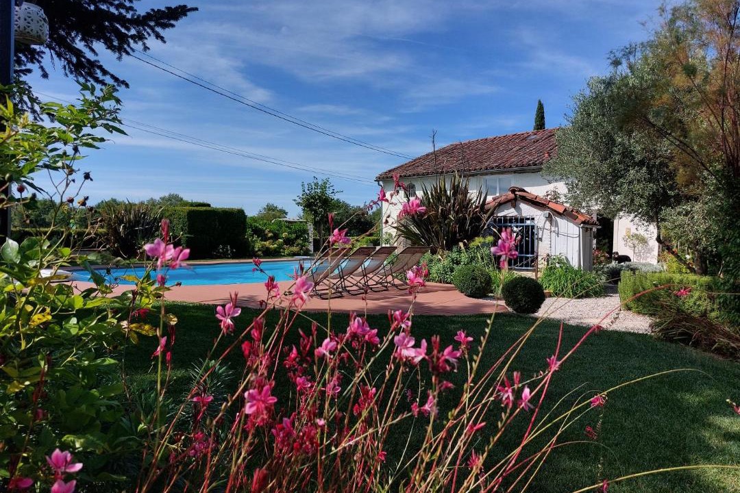Photo of Others in Montauban