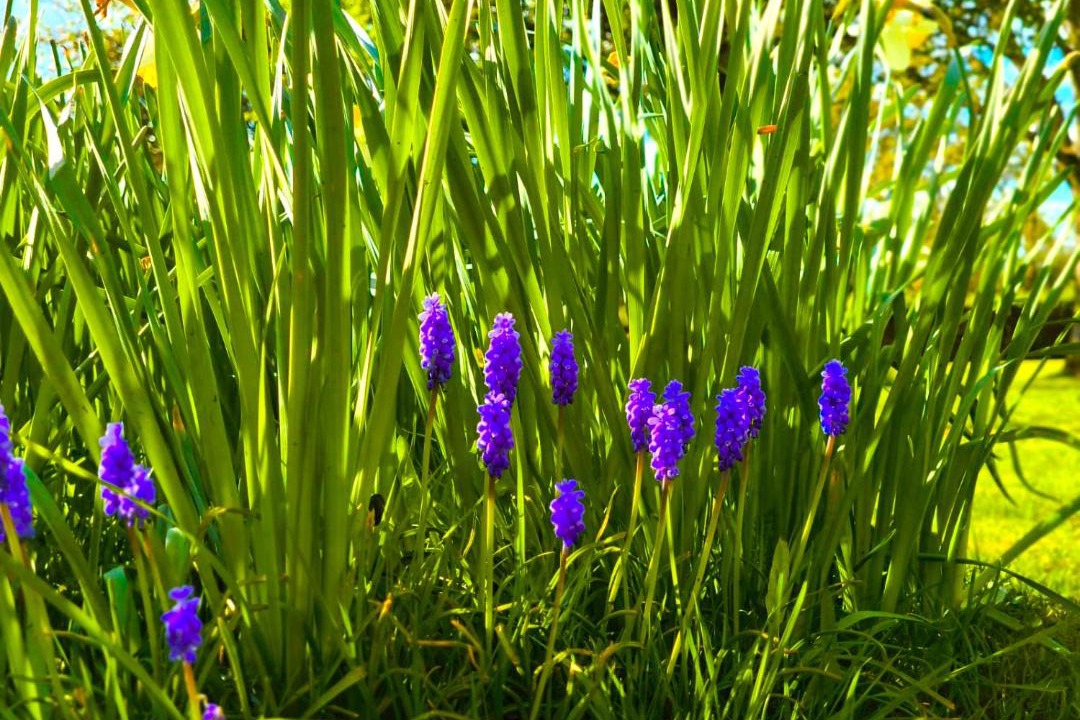 Photo of Others in Saint-Etienne-du-Rouvray