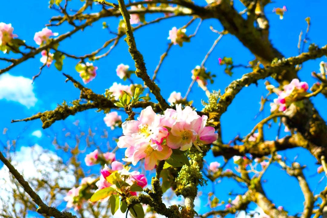 Photo of Others in Saint-Etienne-du-Rouvray