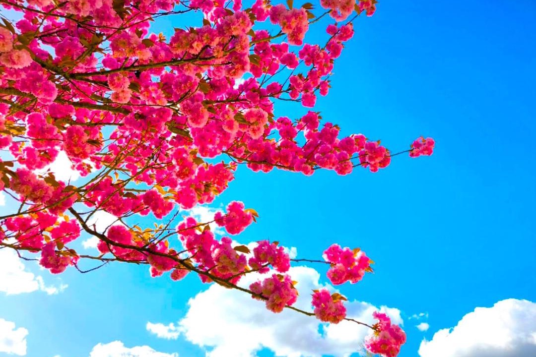 Photo of Others in Saint-Etienne-du-Rouvray