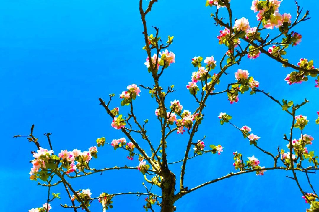 Photo of Others in Saint-Etienne-du-Rouvray