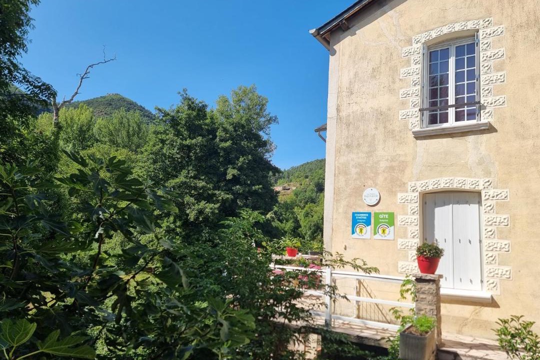 Photo of Others in Boyne