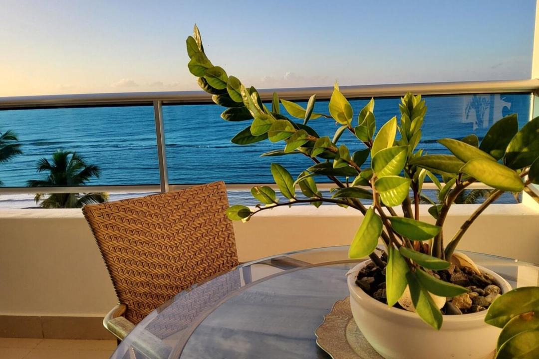 Photo of Patio Balcony in Nizao