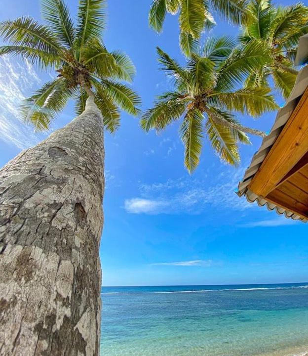 Photo of Others in Nizao