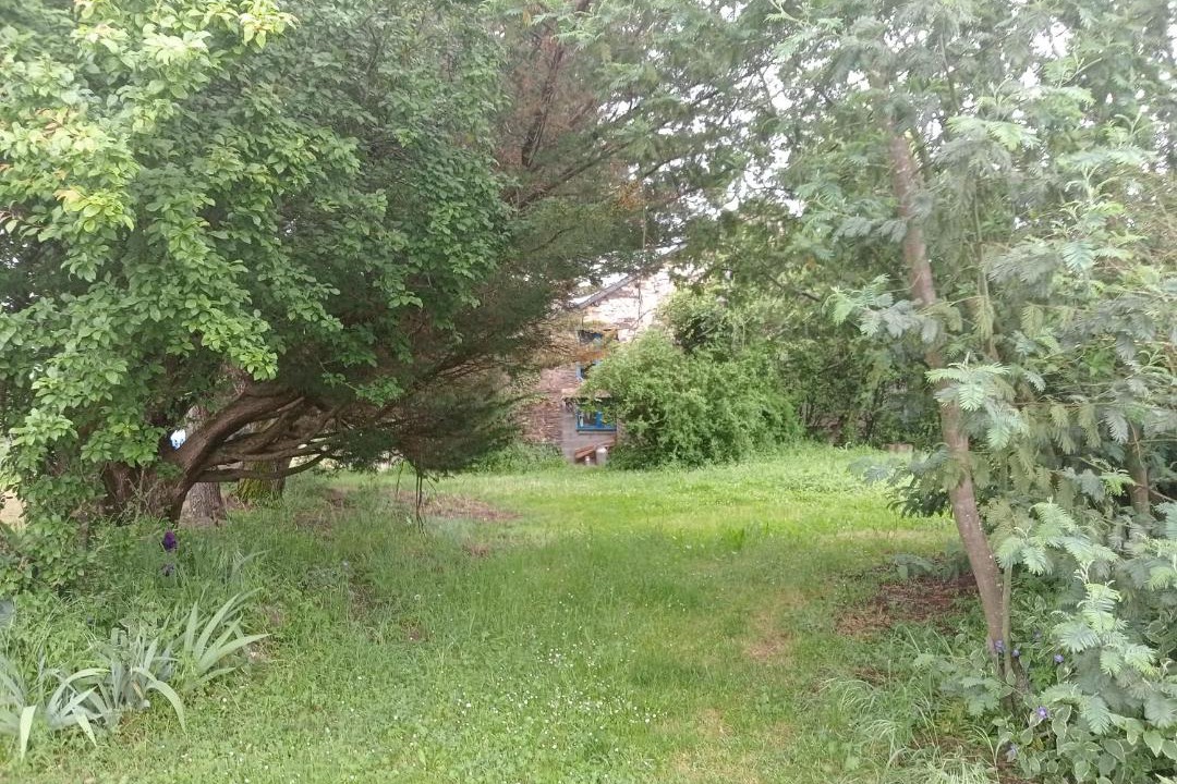 Photo of Others in Sainte-Anne-sur-Vilaine