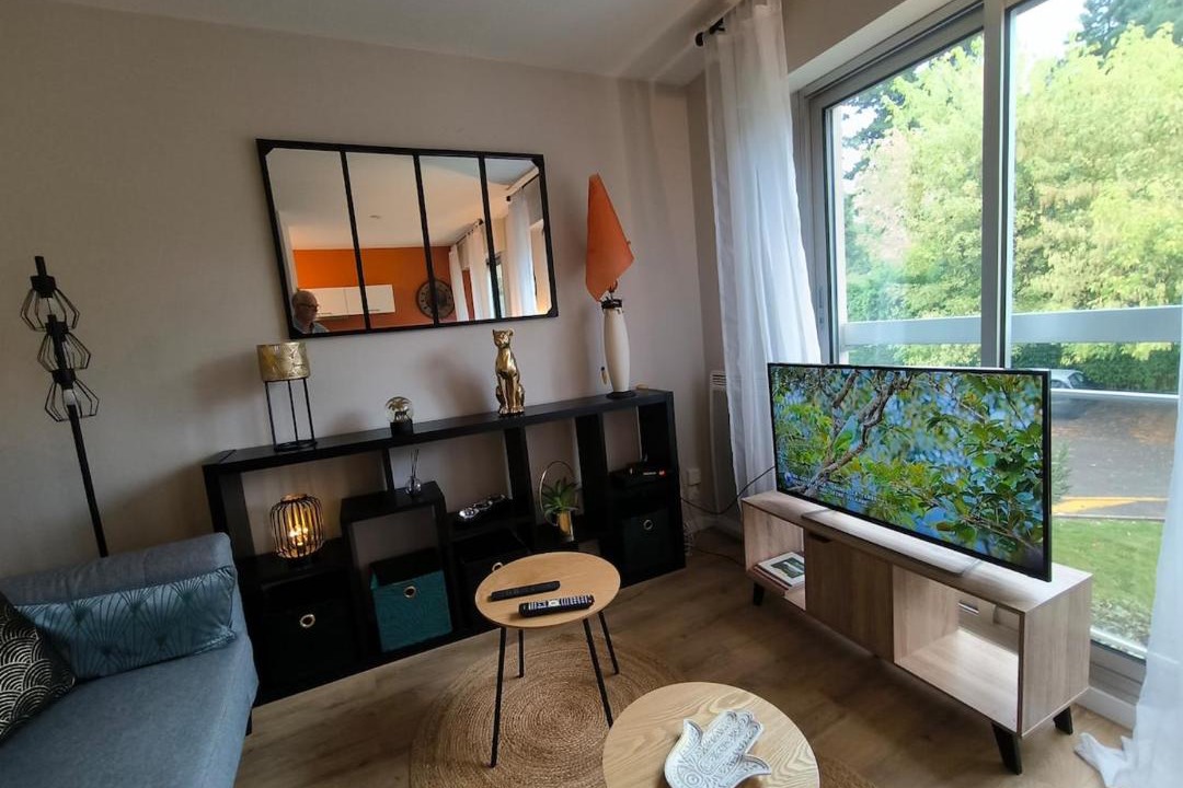 Photo of Livingroom in Billere