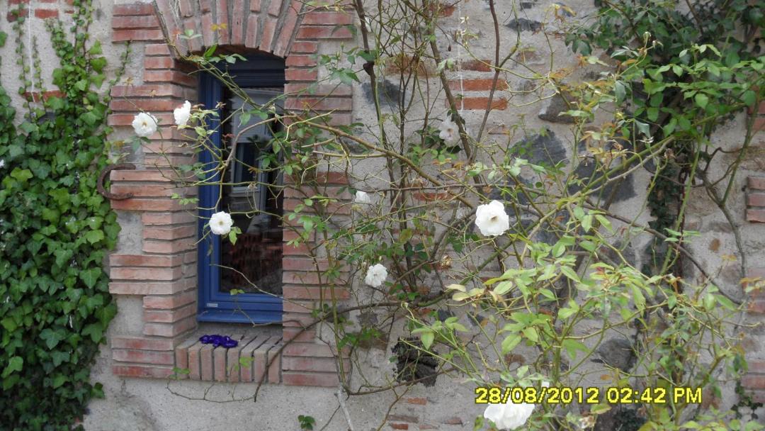 Photo of Others in Mouzillon