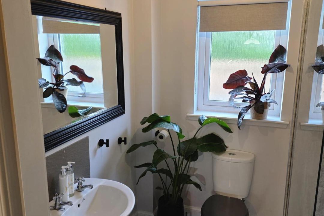 Photo of Others in Cromarty Firth