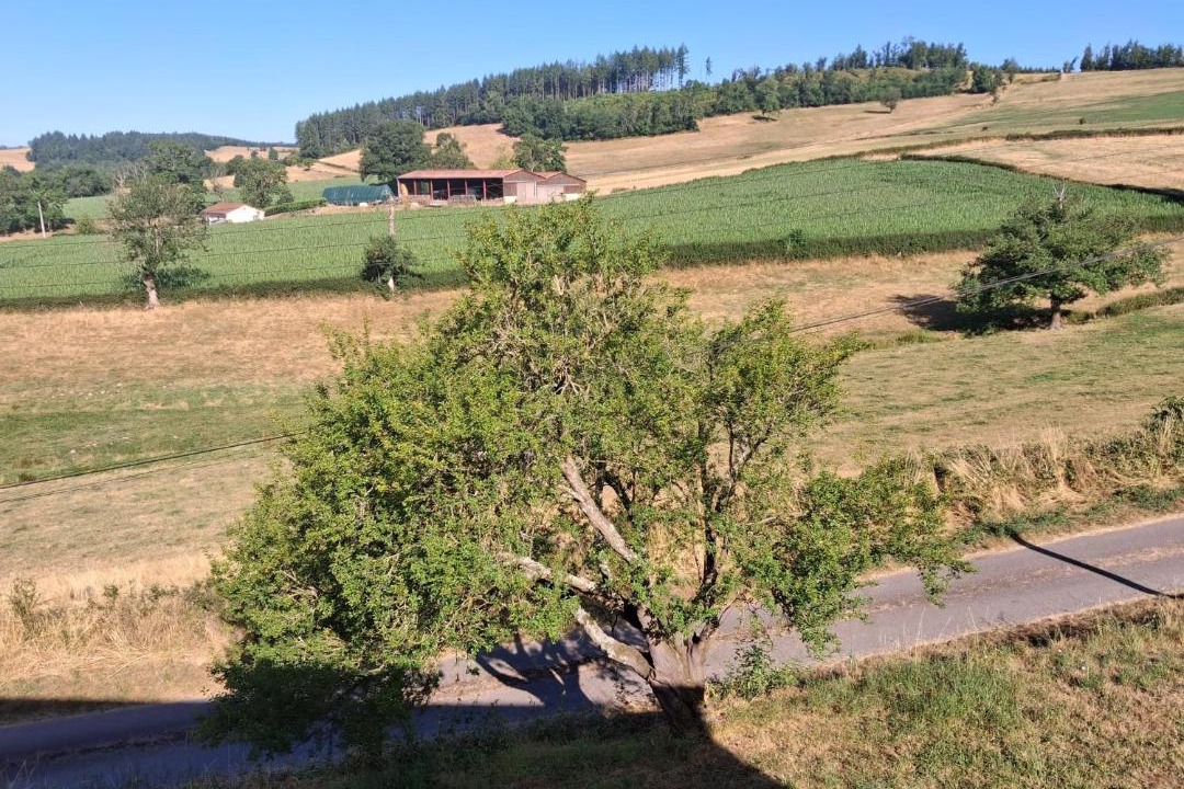 Photo of Others in Dompierre-les-Ormes