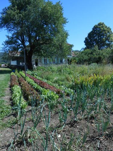 Photo of Others in La Chapelle-en-Vercors