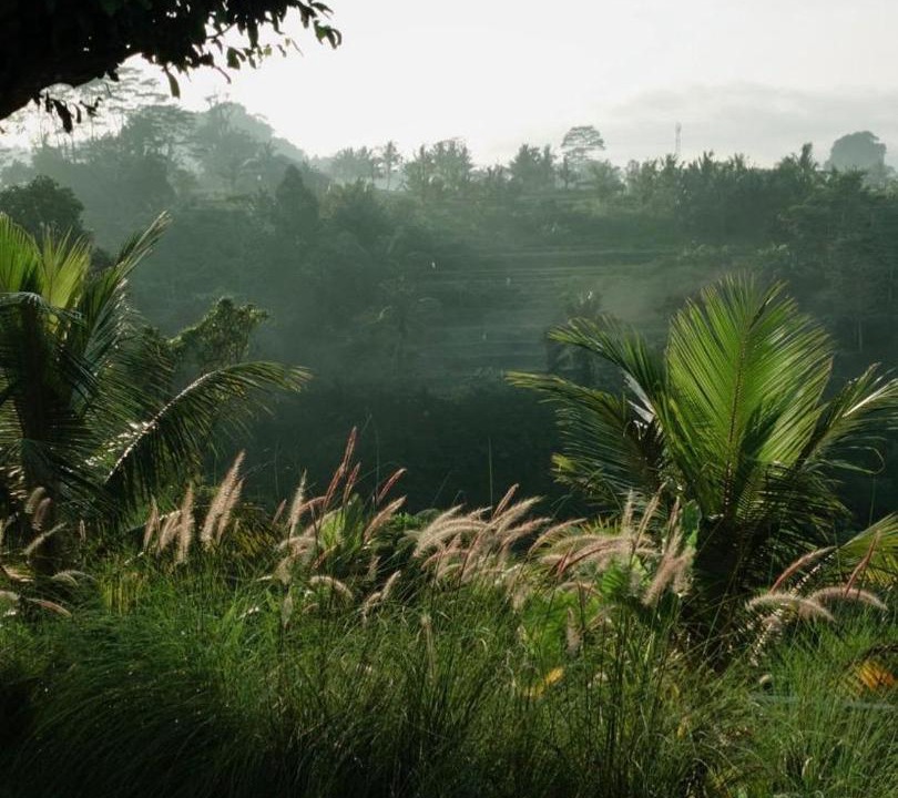 Photo of Others in Tembuku