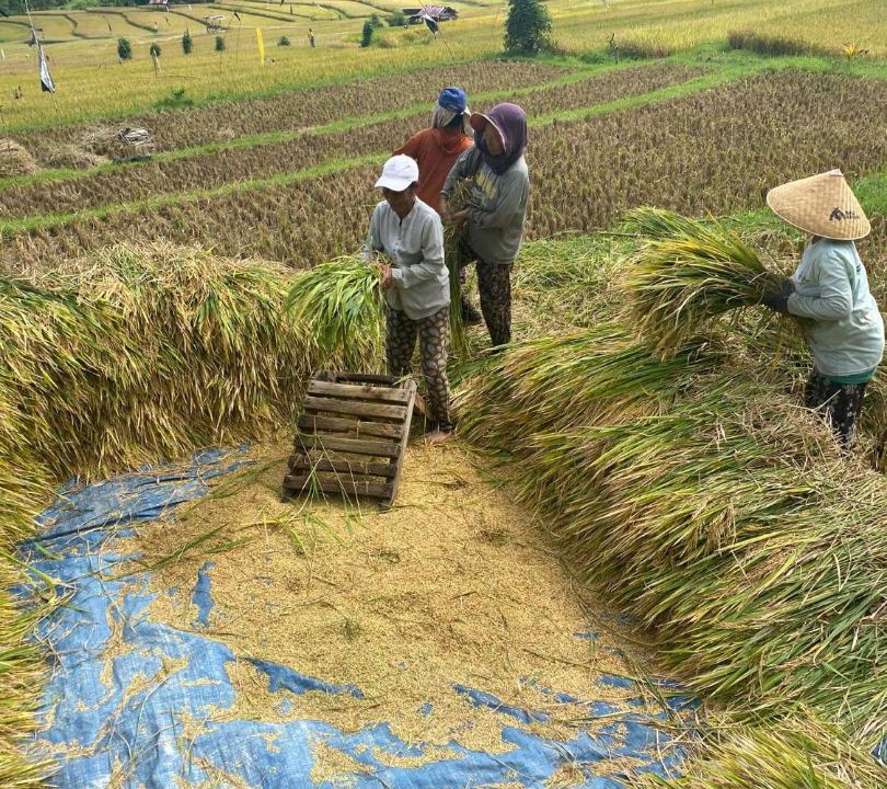 Photo of Others in Munduk