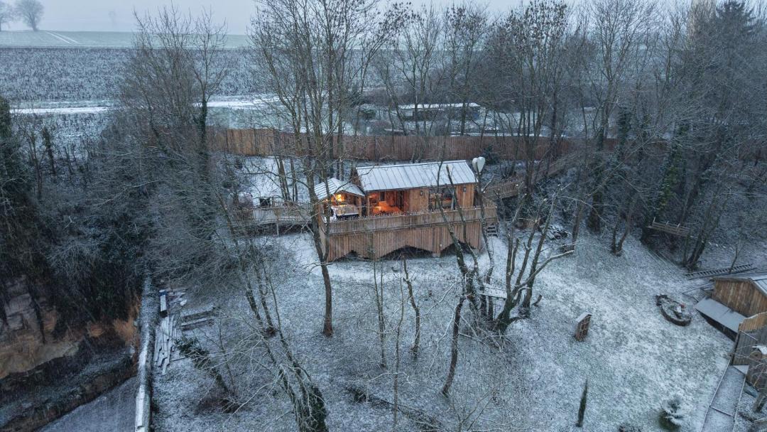 Photo of Others in Cramoisy