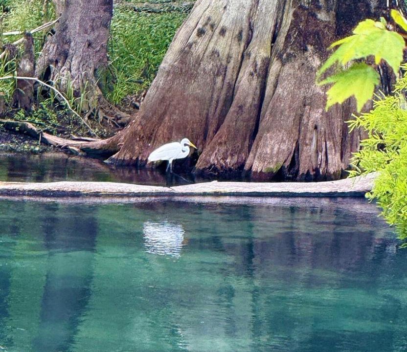 Photo of Others in Fort White