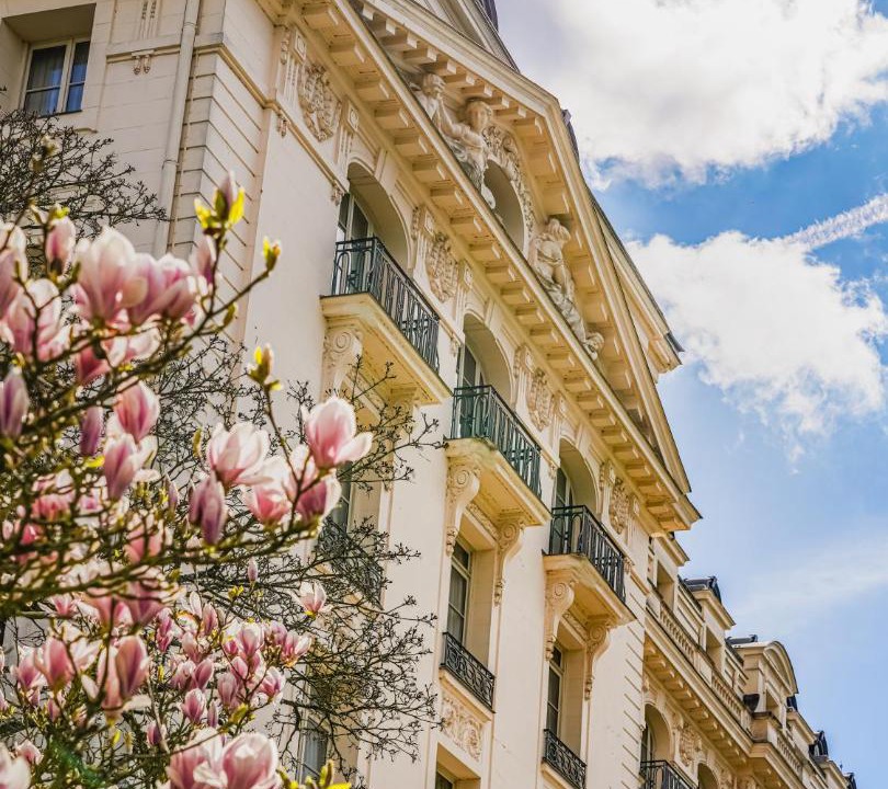 Photo of Others in Notre-Dame