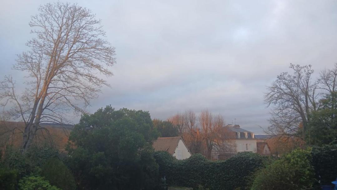 Photo of Others in Giverny