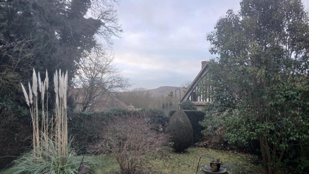 Photo of Others in Giverny