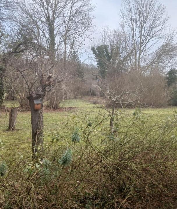 Photo of Others in Giverny