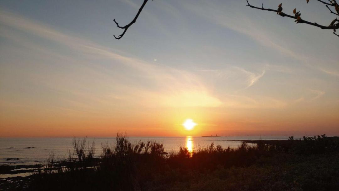 Photo of Others in Noirmoutier-en-l'Ile