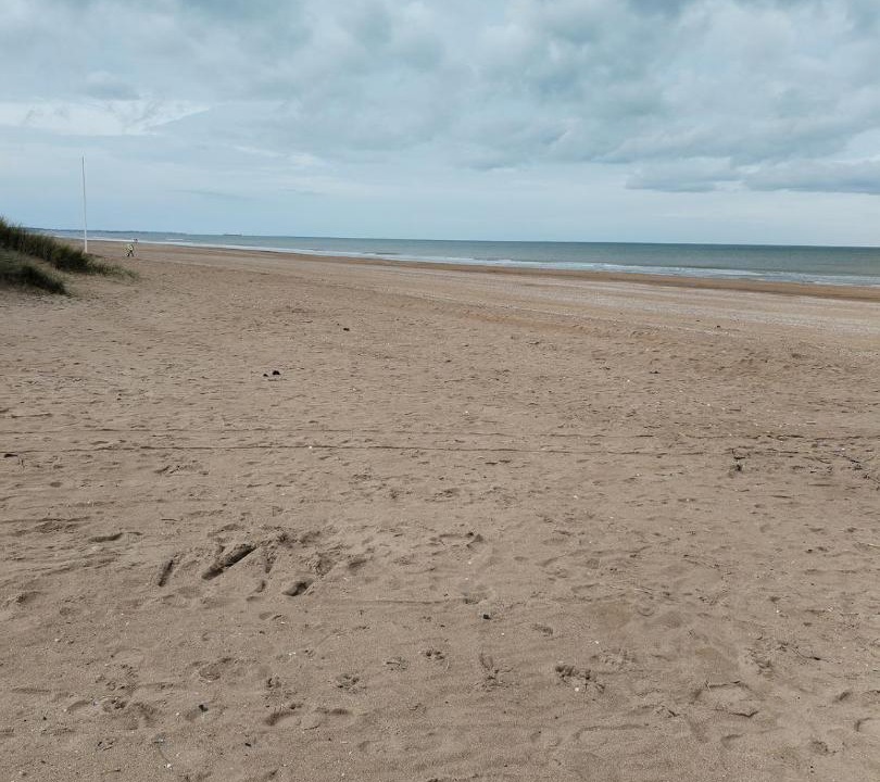 Photo of Others in Merville-Franceville-Plage