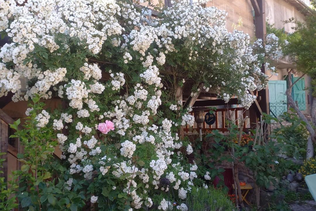 Photo of Others in Saint-Antoine-l'Abbaye