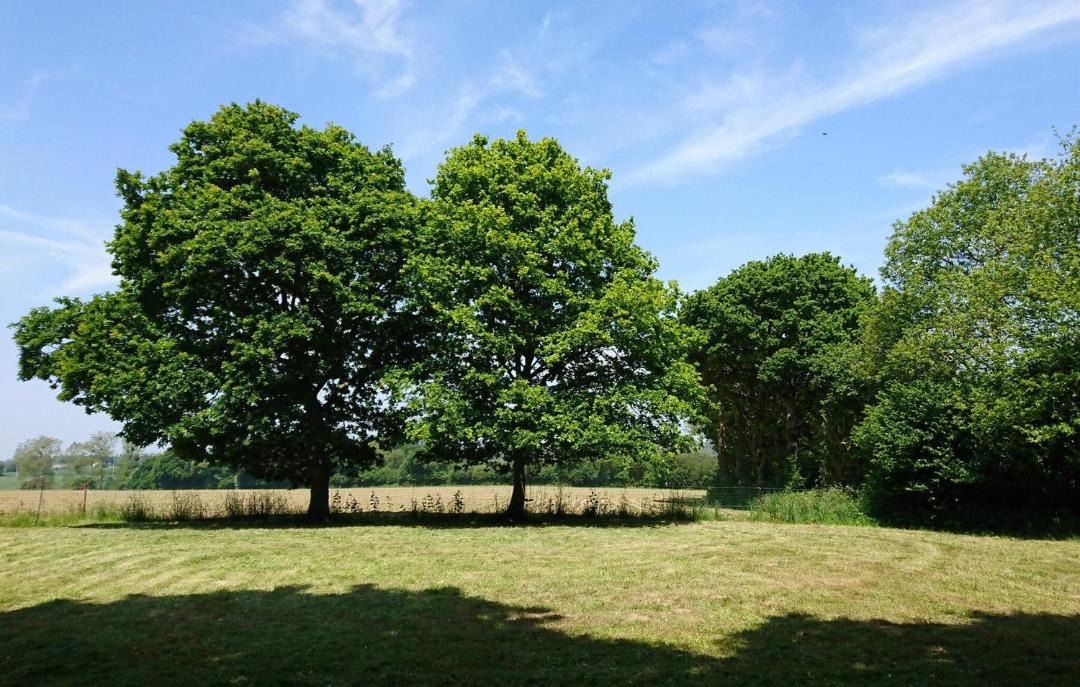 Photo of Others in Pommerit-le-Vicomte