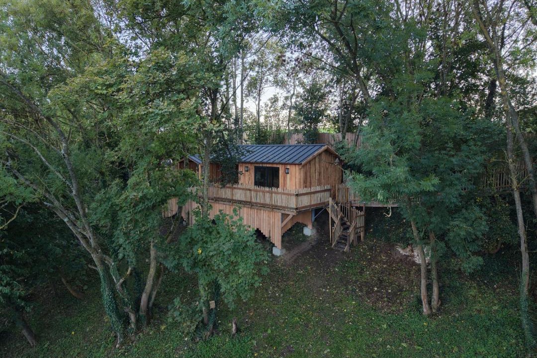 Photo of Others in Cramoisy