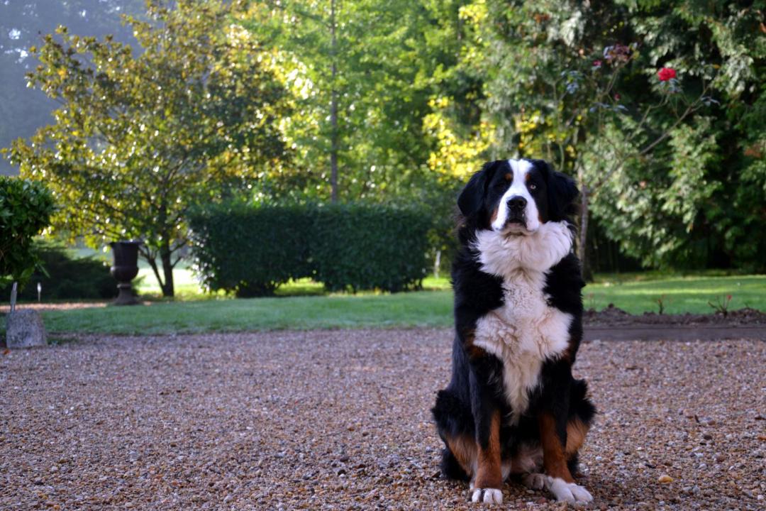 Photo of Others in Mesland