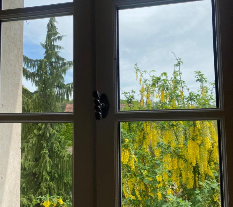 Photo of Others in Massangis